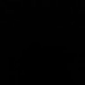 Meet your Posher, Denisha